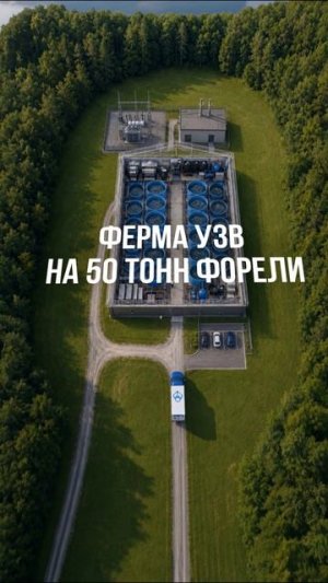 Что можно сделать из простого участка земли?