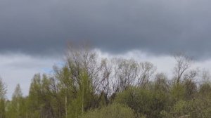 Переправы всё еще нет, сделали вощину из своего воска, проверка ивового точка,  холодный май 2026