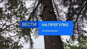 Шпигель вести на прогулке итоговый выпуск
