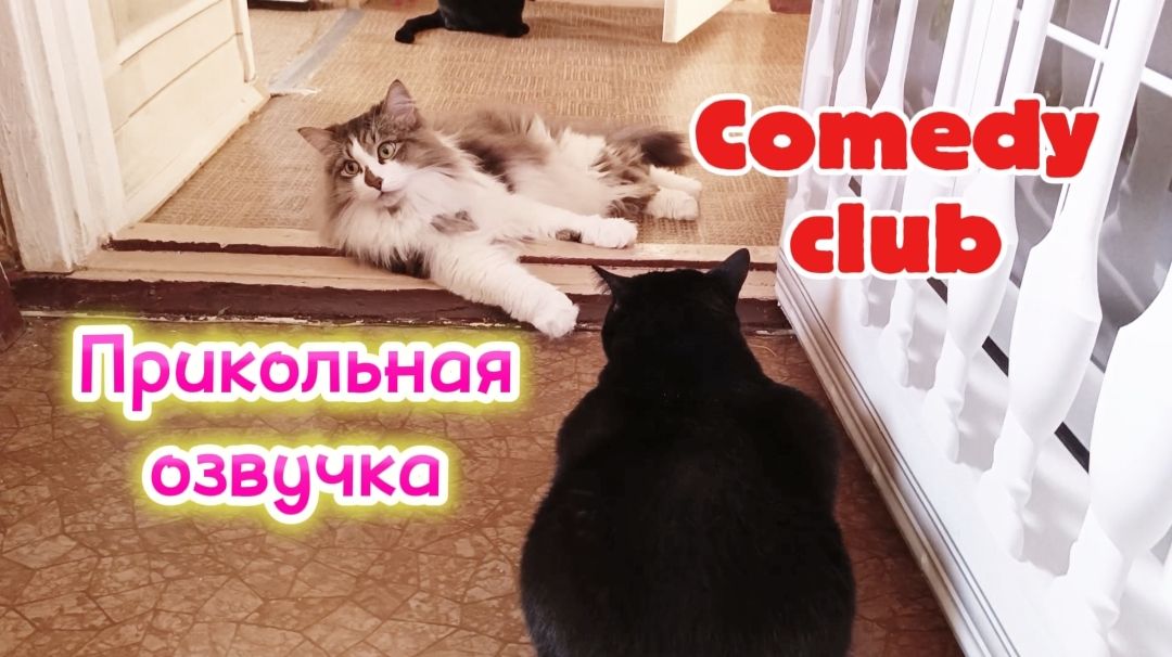 СМЕШНАЯ ОЗВУЧКА.