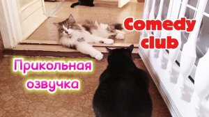 СМЕШНАЯ ОЗВУЧКА.