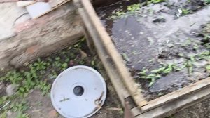 УТРО с ХОЗЯЙСТВОМ 🐷🐣🐤🐥