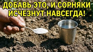 1 МИНУТА — И УЧАСТОК ЧИСТЫЙ! Этот способ уничтожает сорняки НАВСЕГДА!