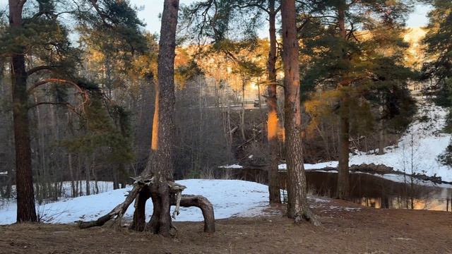 Сестрорецк. Прогулка на закате. Весна 2026. Пригороды Петербурга