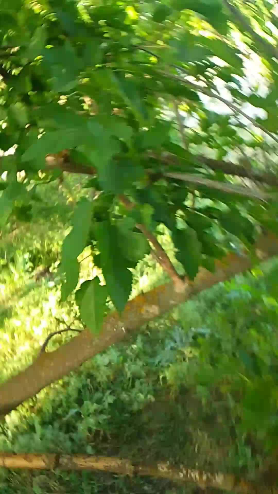 общяемся со зрителями