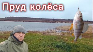 Рыбалка в Киселёвске в мае: секреты богатого улова при холодной воде.