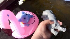 влог со сквиш собачками купания ✨🌊💧