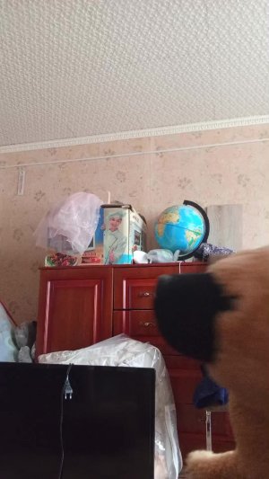 мастером чо то