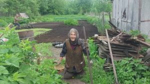 Вспахали огород Аннушке
