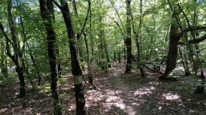 На 40 минут отклонение от основного маршрута в сторону стариной Римской башни на горе Медведь