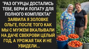 Истории из жизни|Раз огурцы достались тебе, бери и лопату|Аудиорассказы|Аудиокниги|Реальные истории