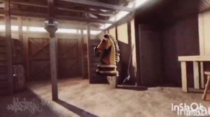 ход конём videoplayback (14)