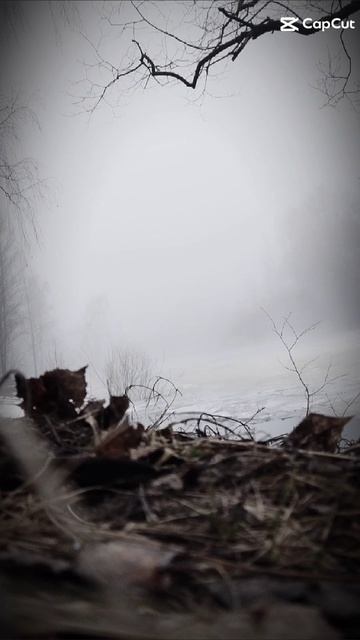 ﹥_﹤