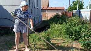 Первую клубничку имениннику. У навеса теперь есть крыша и лавочка.
