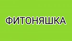 ДОМОСЕР устал от съёмок