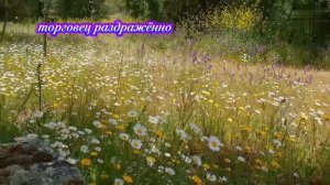 Притча» «Какой мерой меряешь, такой мерой и тебе будет отмерено».