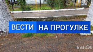 Шпигель вести на прогулке