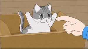 Смотрим вечера с котиком 2