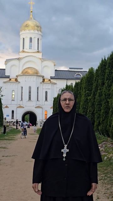 Николо-Сольбинский монастырь просит о помощи!