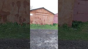 рома и Амир