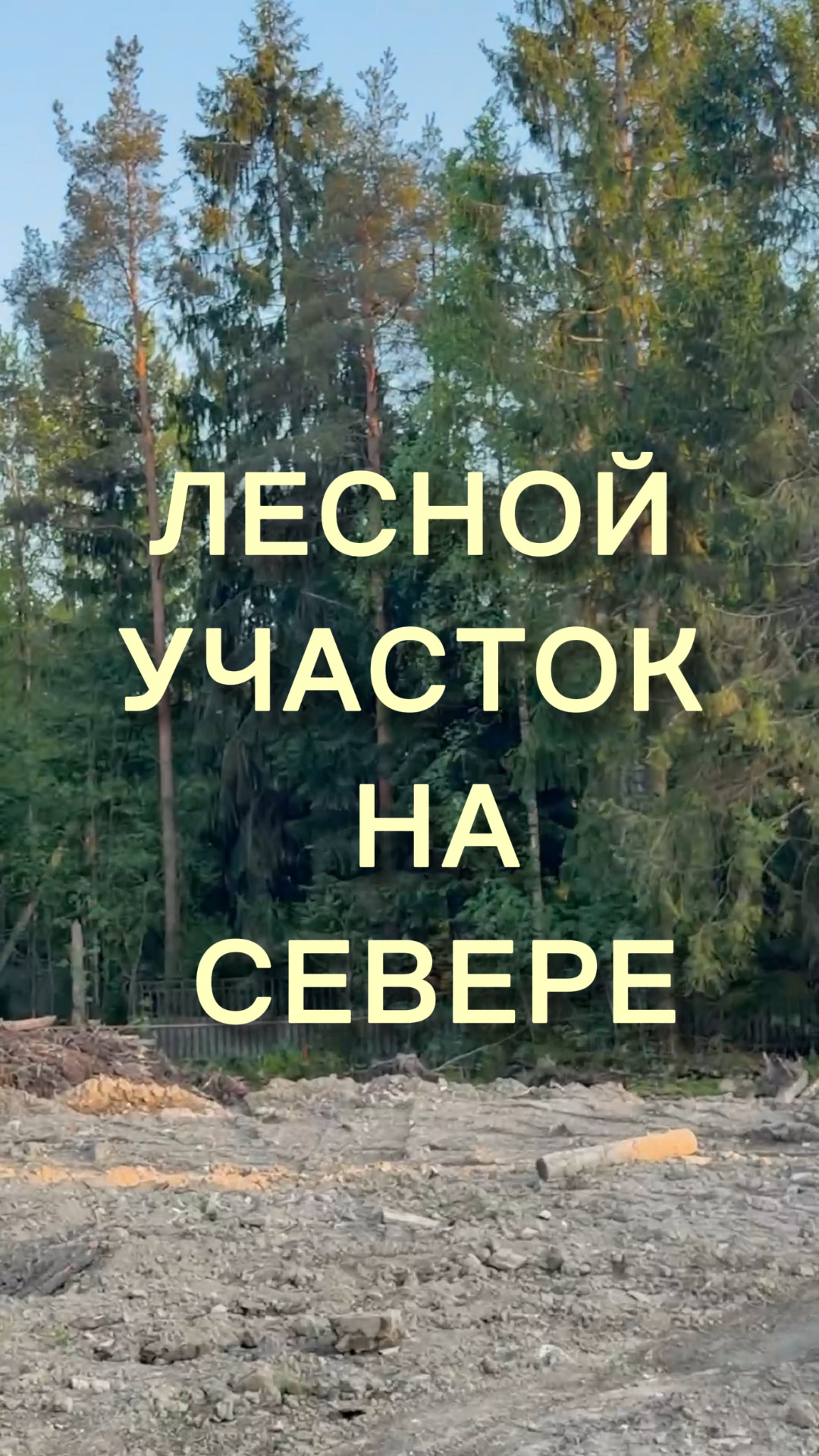 Лесной участок в Агалатово🌲 смотреть онлайн