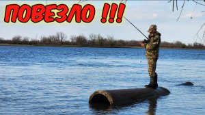 🔥КУЧА ЛЕЩА ПРЯМО У БЕРЕГА - ПОПЛАВОК НЕ НУЖЕН. БЕШЕНЫЙ КЛЁВ НА ДОНКУ. Рыбалка на ВОЛГЕ - 2026!!!