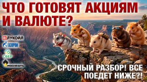 СРОЧНЫЙ разбор! ВСЕ поедет ниже?!