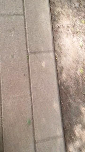 1000015798.mp4 смотреть онлайн