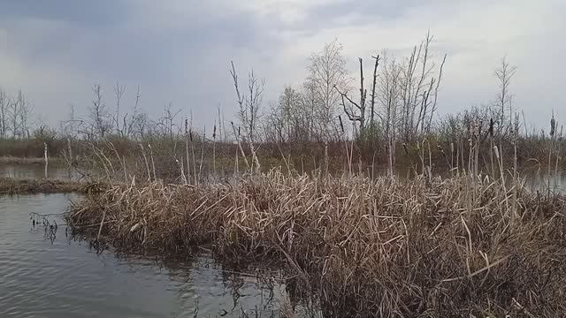 ХОЗЯЕВА ТАЙГИ, КАДРЫ РЕШАЮТ ВСЁ