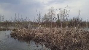 ХОЗЯЕВА ТАЙГИ, КАДРЫ РЕШАЮТ ВСЁ