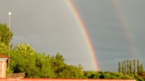 🌈Радуга