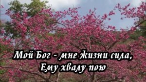 Библия онлайн | 1-я Царств, 8 глава