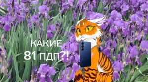 Вопрос-ответ:3