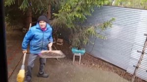 воскресный день про белок и бельчат