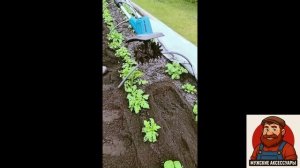 Культиватор на дачу. Обзор и мой опыт беспроводного аккумуляторного культиватора