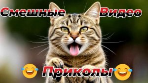 Смешные видео приколы|Коты и собаки
