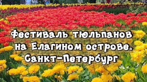 Фестиваль тюльпанов на Елагином острове. Санкт-Петербург