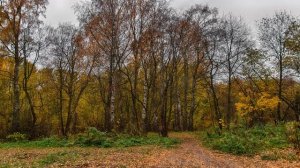 Музыка для Сна. Успокаивающая музыка для сна. Усыпляющая музыка для сна. Релакс музыка для сна