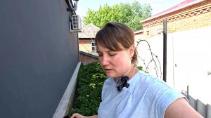 Вы бы точно так не поступили