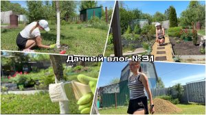 Дачный влог № 31 🍓 Садовая дорожка | Дачные дела