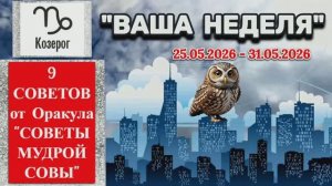 КОЗЕРОГ: «ВАША НЕДЕЛЯ с 25 по 31 МАЯ 2026 года» (оракул «СОВЕТЫ МУДРОЙ СОВЫ»)!!!