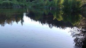 Озеро г Жуковка на шпиле