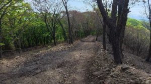 Ланза 2т Обкатка Цилиндра  Lanza 2T