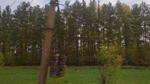 За окном поезда Сибирь. отрезок пути от Новосибирска до Тайги