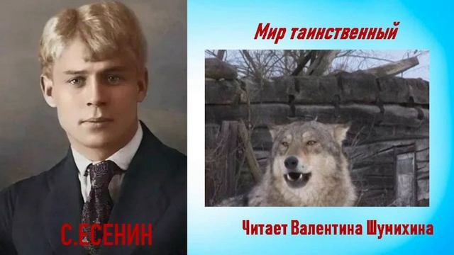 С.Есенин "Мир таинственный." Читает Валентина Шумихина.