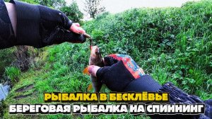 ЩУКА и ЖЕРЕХ активно питаются мальком , НО наши ПРИМАНКИ игнорирует | Попали на БЕСКЛЁВЬЕ
