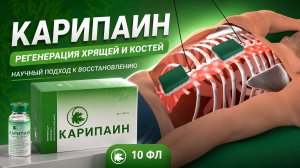Инструкция: Карипаин сухой бальзам фл. 10 мл № 10 (350 ПЕ)