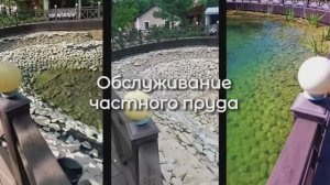 Обслуживание частного пруда | EcoPond
