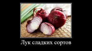 Рецепт пельменей от шлепы!