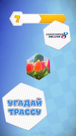 19/48. Угадай трассу Mario Kart 8 Deluxe